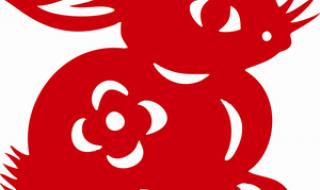 新年兔子怎么画好看 新年兔子怎么画好看