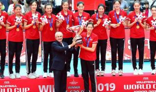 世界杯每几年举行一次